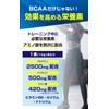 ビーレジェンド BCAA グルタミン シトルリン 必須アミノ酸 SUPER AMINO FLOWSION ふるふるフルーツパンチ風味 420g