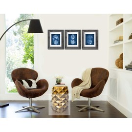 Gnosis Picture Archive Neuroscience Art set of 3 unframed Prints of Human Brain Anatomy