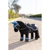 LeMieux Toy Pony Exercise Sheet Navy A Shower Resistant Mini