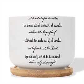 DecStic I Do Not Whisper Obscurities in Some Dark Corner Planters Ceramic Quote Sayings Round Flower Pots with Drainage Holes and Bamboo Tray Pot for Home Office Desk Garden