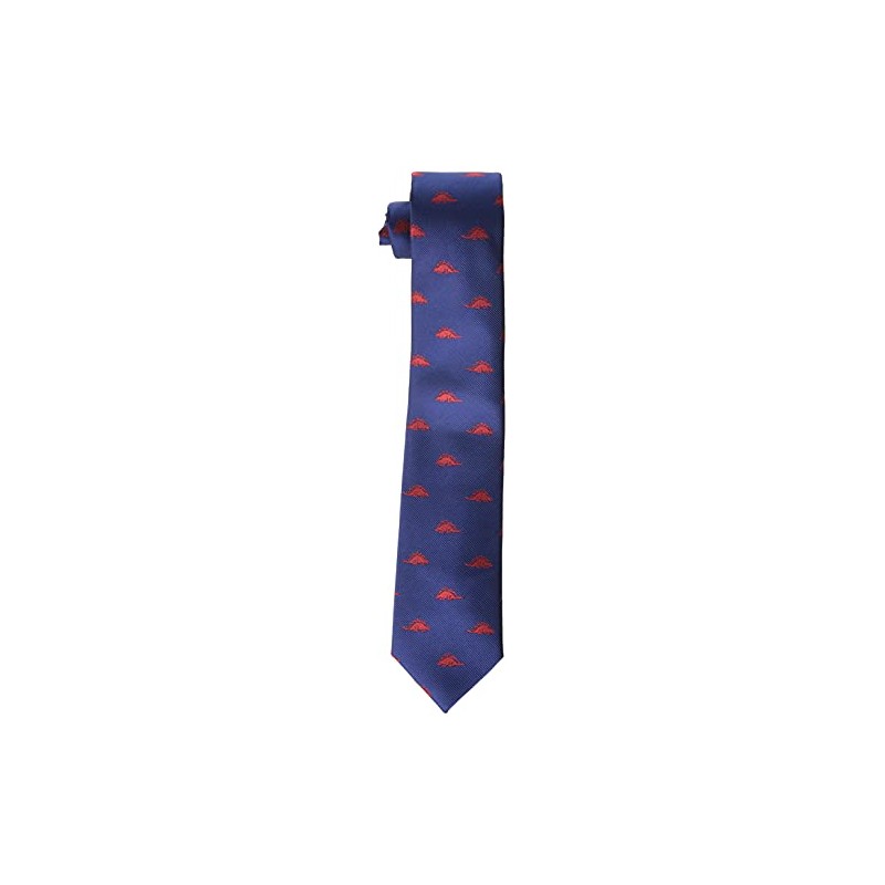 Wembley Big Boys Dinosaur Novelty Tie, Navy/Red, One Size
