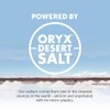 REPOWR Daily Electrolytes - Apple Flavour | Sugar-Free Electrolyte Powder