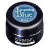 Prigel Gel Nail Color EX Turquoise Blue 838