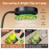 Mubarek Clip on Lamp,5 Brightness+5 Color Clip on Light,400LM 36