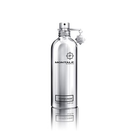 MONTALE Fougeres Marine Eau de Parfum Spray, 3.3 Fl Oz