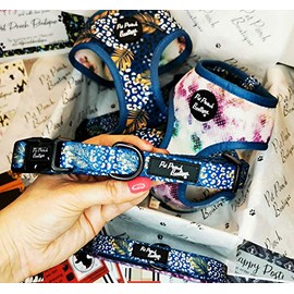 Pet Pooch Boutique Peacock Palms Dog Collar, Medium, 0.3 kg