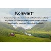 Kolsvart Sour Blueberry Swedish Candy – Vegan & Gluten-Free Gummies