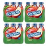 Snapple Apple All Natural Juice Drink Gluten Free 16 fl
