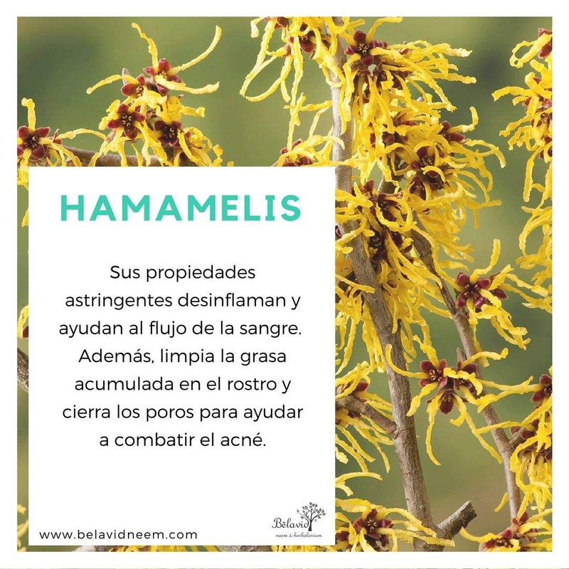 Kit de Neem para eliminar acne