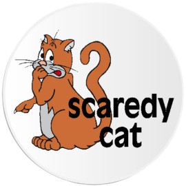 Kiwi Gifts Scaredy Cat - Circle Sticker Decal 3 Inch