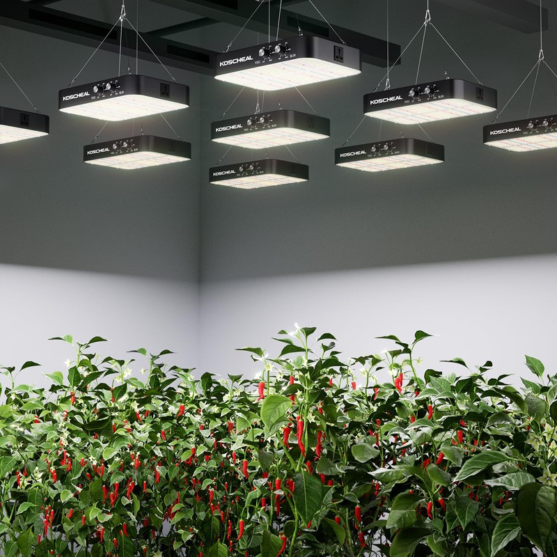 KOSCHEAL KC1600 LED Grow Light 160W Full Spectrum,2.9μmol/J PAR Efficacy,Dimmable