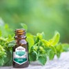 ARO+ Aceite Esencial de Menta Natural Puro Aromaterapia
