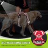 Eyein No-Pull Dog Harness, Air Mesh Breathable Chest Harness for