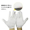 Dengujd Sanwa Supply Anti-Static Gloves, Anti-Slip, 2 Pairs, Medium, Antistatic,