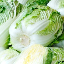 Chinese Cabbage Seeds - Hwi Mo Ri - Hybrid - 1 g Packet ~40 Seeds - Non-GMO, F1 Hybrid - Asian Garden Vegetable