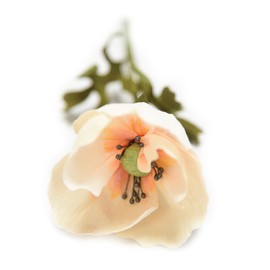 Spellbinders Spellbinders Steel Rule Die -Simple Anemones