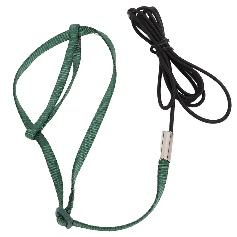 Bird Harness Leash Adjustable Elastic Flying Training Parrot Traction Rope