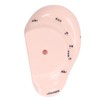 17cm Ear Point Probe 600pcs Auricular Patches Silicone Ear Model