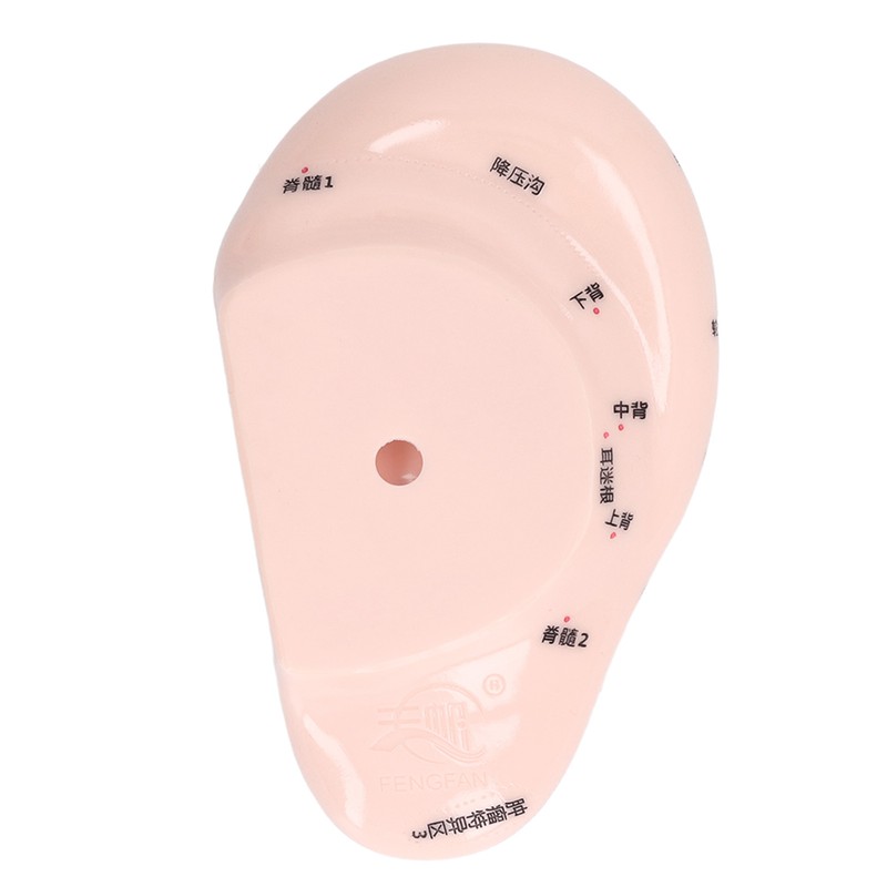 17cm Ear Point Probe 600pcs Auricular Patches Silicone Ear Model
