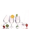 Luigi Bormioli Michelangelo Masterpiece 19.25 oz All Purpose Glasses -