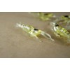 10 Pcs 4cm Simulation Fake Bait Grass Shrimp Lures Soft