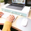 Monitor Stand with Integrated Storage Stand