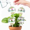 13 oz Up 2 Weeks Large Plant Watering Globes -
