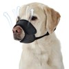 DOINEUFL Dog Muzzle, Lightweight & Breathable Mesh Muzzle for Small