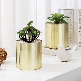 MyGift Cylindrical Brushed Brass Plated Planter Pots, Set of 2