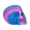 Nemesis Now Rainbow Skull 15.5 cm Polyresin, Multi-Colour, One Size