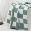 Carriediosa Checkered Throw Blanket 50" X 60", 400GSM Ultra Soft