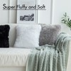 MIULEE Pack of 2 Luxury Faux Fur Throw Pillow Cover