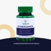 Ashwagand Root Natura+ | Ksm-66 Capsulas Suplemento Natural Sin Sabor