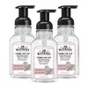 J.R. Watkins Foaming Hand Soap with Pump Dispenser, Moisturizing Foam