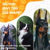 ziyue 4 Set Doberman Ear Posting Kit for Doberman Pincher