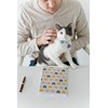 Pearhead Multi Cat Journal, Sweet Cat Face Notebook, School Journal
