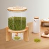 AngelcityCC Flour and Cereal Container, Rice Dispenser 5L Glass Food