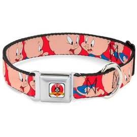 Dog Collar Seatbelt Buckle Porky Pig Expressions Red 11 to 17 Inches 1.0 Inch Wide