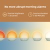 Sunrise Alarm Clock White Noise Machine: Natural Wake Up Light
