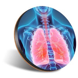 1 x Round Jumbo Size Coaster 12cm Human 3D Lungs Doctor Hospital Cork Backed MDF Glossy Tea Coffee Accessory #51197