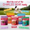 Charlee Bear Original Crunch Dog Training Treats, Beef Liver Flavor,