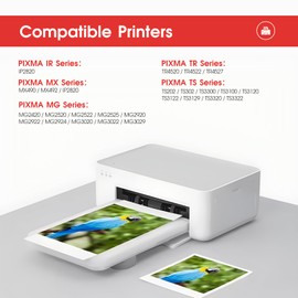 LLAOLLAO Remaunfactured Ink Cartridge Replacement for Canon 245XL 246XL Combo Pack PG-245 CL-246 for Pixma MX490 MX492 TR4520 MG2522 TS3322 TS202 TR4522 MG2920 Printer (1 Black, 1 Color)