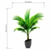 Amimagen Coconut Palm Potted Plants Wall Stickers - Tropical Plants