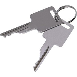 MACHSWON 2PCS D250 Ignition Keys 307852A1 6693241 6709527 Fit for Bobcat Skid Steer Terex Broce Genie Grove JLG Komatsu Forklift Volvo 1835B 1835C 1838 1840