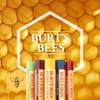 Burt's Bees Lipbalm Stick