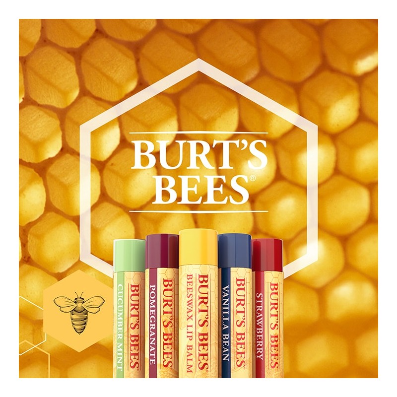 Burt's Bees Lipbalm Stick