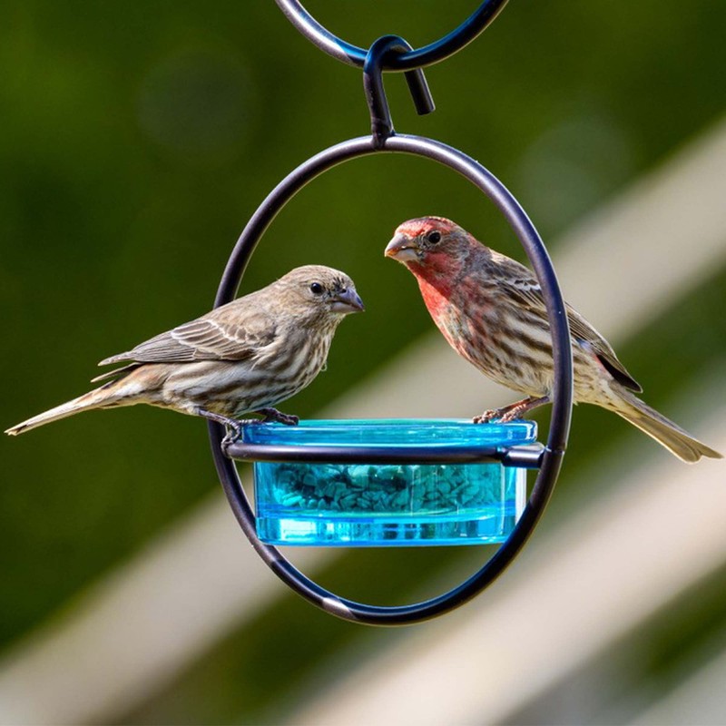 Mosaic Birds Hummble Basic Bird Feeder, M045-200-09, 3.4 Ounce Capacity,