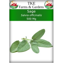 TKE Farms & Gardens - Sage Seeds for Planting - 120+ Heirloom Non-GMO Sage Seeds, Ideal for Indoor & Outdoor Gardens, Great for House Plant Seeds, Salvia officinalis, Includes Growing Instruction