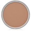 Shiseido ANESSA Perfect UV Comapct Refill Ochre-20 SPF33 PA+++