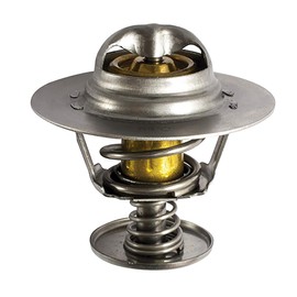 FAE 5306783 Thermostat, coolant